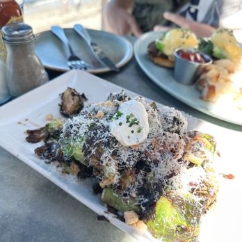 Driftwood Kitchen - Crispy Brussels Sprouts & Shishito Peppers - Seafood Near Me - Laguna Beach, California Driftwood Kitchen - Crispy Brussels Sprouts & Shishito Peppers - Seafood Near Me - Laguna Beach, California