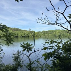 Piney Run Park