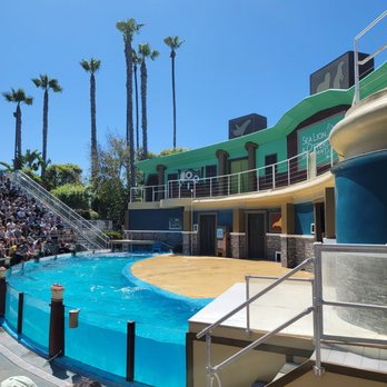 Otter Outlook - Amusement Parks Near Me - San Diego, California Otter Outlook - Amusement Parks Near Me - San Diego, California