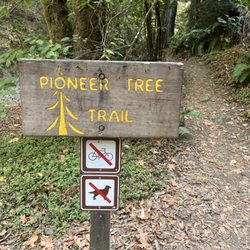 Pioneer Tree Trail