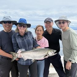 Coastal Wilderness Adventures - Wow!