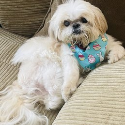 Sophie Sophie