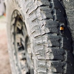 Summit Motors 4x4