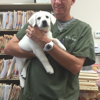 Dr Ted Weller, DC - Chiropractors Near Me - Thibodaux, Louisiana