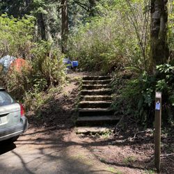 Alder Dune Campground - Stair to our campsite