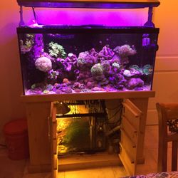 Andys reef