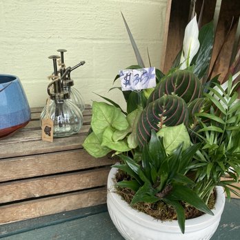 St Johns Flower Market - Beautiful arrangement ready to take home! - Florists Near Me - Jacksonville, Florida St Johns Flower Market - Beautiful arrangement ready to take home! - Florists Near Me - Jacksonville, Florida