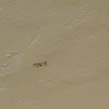 K A B Realty Management - Even more mold in bathroom - Property Management Near Me - Dover, New Hampshire