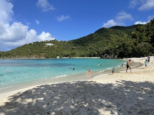 Hawksnest Beach by null