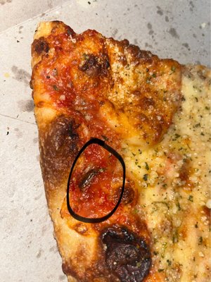 J.R. Pizza Bella Restaurant by null