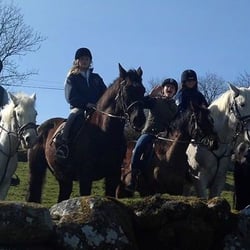 Hollywood Horse and Pony Trekking - Hollywood horse trekking