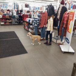 Old Navy Outlet