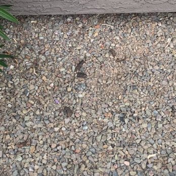 The Reserve on Cave Creek - Dog poop! - Apartments Near Me - Phoenix, Arizona The Reserve on Cave Creek - Dog poop! - Apartments Near Me - Phoenix, Arizona