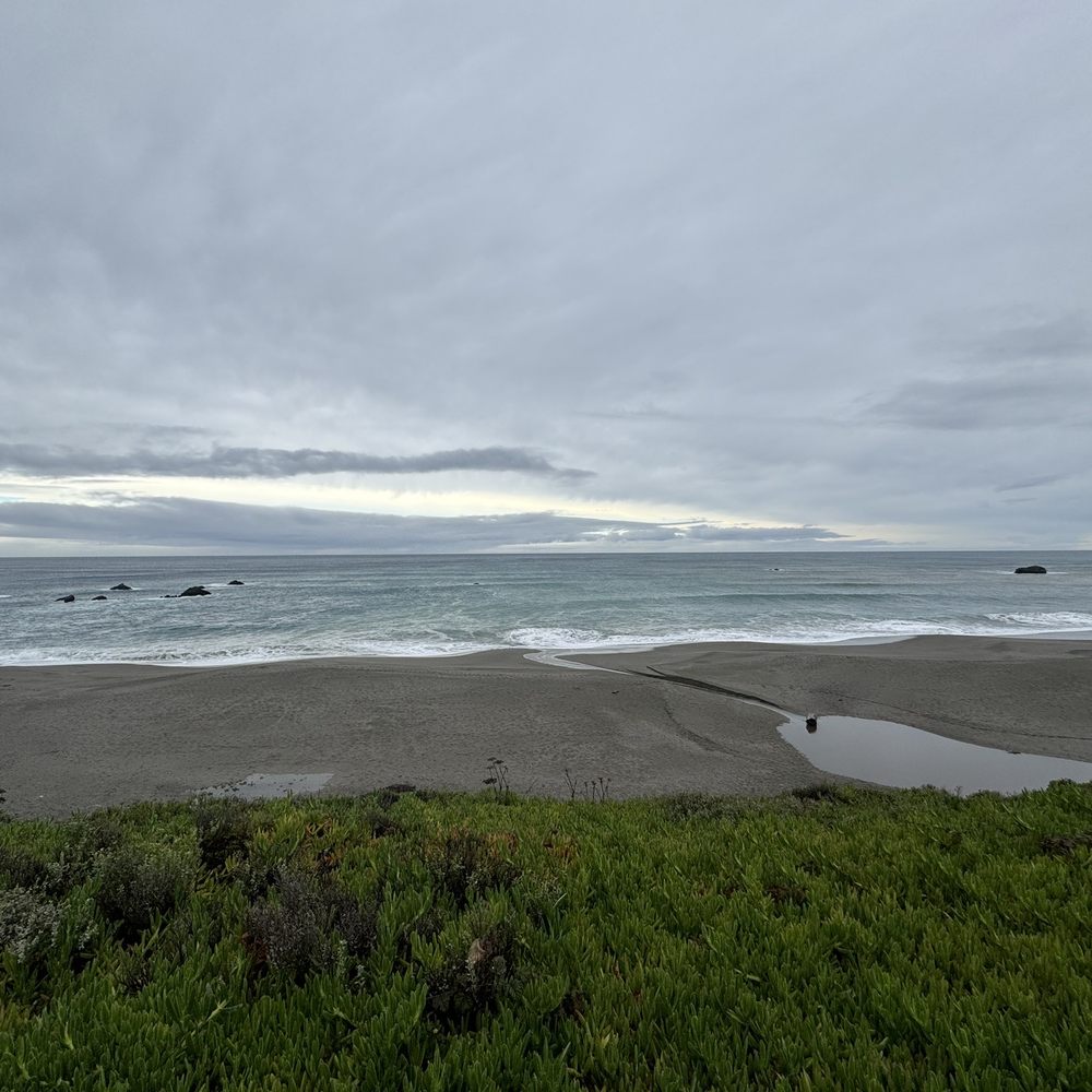 Portuguese Beach - Beaches Near Me - Bodega Bay, California Portuguese Beach - Beaches Near Me - Bodega Bay, California
