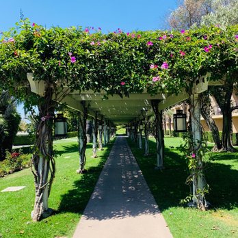 Hyatt Regency - Hotels Near Me - Newport Beach, California Hyatt Regency - Hotels Near Me - Newport Beach, California