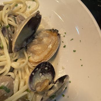 Sotto Mare - Look how big this clam was!!! - Seafood Near Me - San Francisco, California Sotto Mare - Look how big this clam was!!! - Seafood Near Me - San Francisco, California