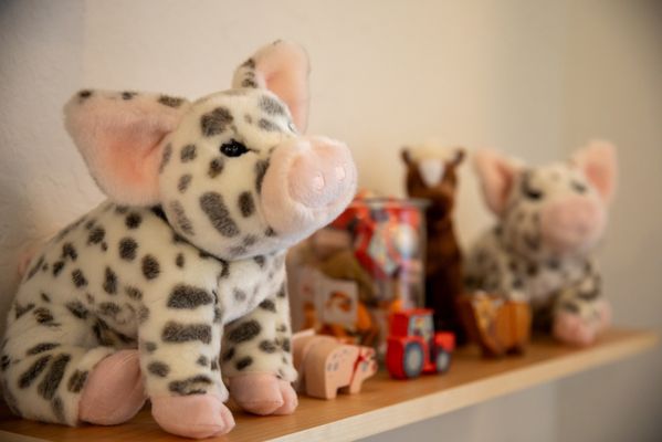 Ferris Wheel Kids by null