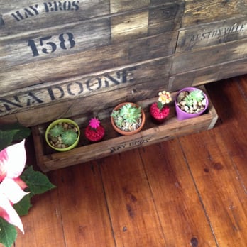 Little Buddha Thai Cuisine - Restaurants Near Me - Middle Park, VIC