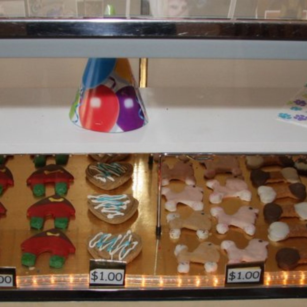 The Dining Dog - The treat case (donuts, biscotti, cupcakes and cookies). - Pet Services Near Me The Dining Dog - The treat case (donuts, biscotti, cupcakes and cookies). - Pet Services Near Me