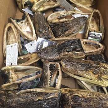 Smith's Exxon - Alligator heads for that person who has EVERYTHING! Dated: April 2018 - Gas Stations Near Me - Santee, South Carolina Smith's Exxon - Alligator heads for that person who has EVERYTHING! Dated: April 2018 - Gas Stations Near Me - Santee, South Carolina