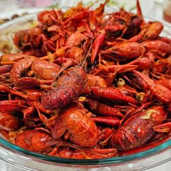 The LandShark Crawfish