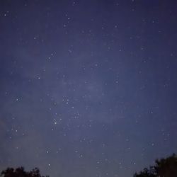 The Inn Between - The stars.
