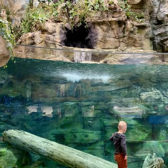 Bass Pro Shops - Accessories Near Me - Irvine, California Bass Pro Shops - Accessories Near Me - Irvine, California