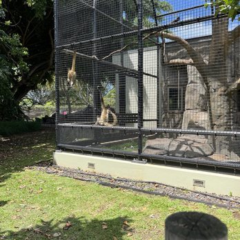 Honolulu Zoo - Zoos Near Me - Honolulu, Hawaii