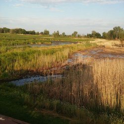 Nayanquing Point State Wildlife Area
