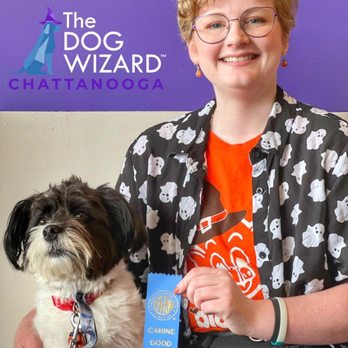 The Dog Wizard - Chattanooga - Pet Training Near Me - Chattanooga, Tennessee The Dog Wizard - Chattanooga - Pet Training Near Me - Chattanooga, Tennessee