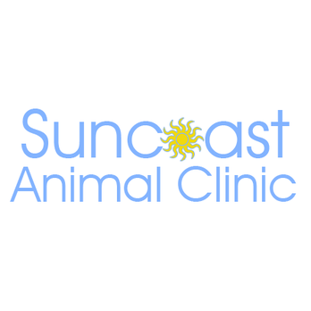 Suncoast Animal Clinic - Veterinarians Near Me - Bradenton, Florida Suncoast Animal Clinic - Veterinarians Near Me - Bradenton, Florida