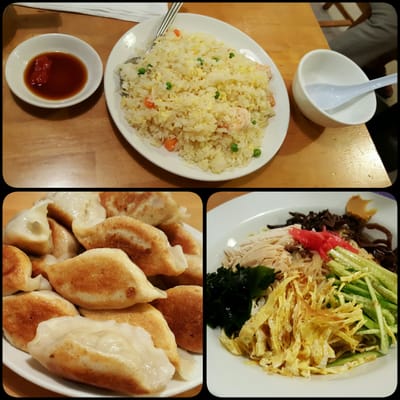 Photo of Hana - San Jose, CA, US. Shrimp fried rice, fried gyoza, and Japanese style cold noodle.