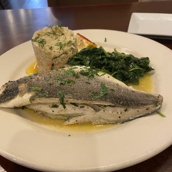 Mazi - Mediterranean Sea Bass - New American Near Me - Washington, DC, District of Columbia Mazi - Mediterranean Sea Bass - New American Near Me - Washington, DC, District of Columbia