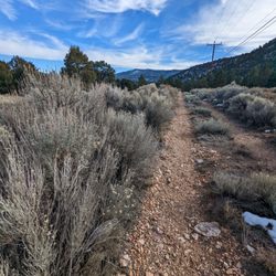 Baldwin Lake Ecological Reserve - Rough gravel trail