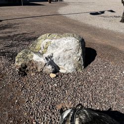 Quartzsite Dog Park - Quartz near dog park