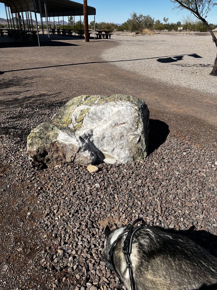 Quartzsite Dog Park Logo