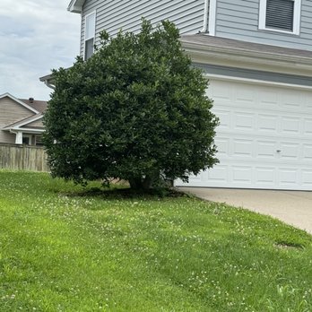 Rodas Landscaping - Before - Pressure Washers Near Me Rodas Landscaping - Before - Pressure Washers Near Me