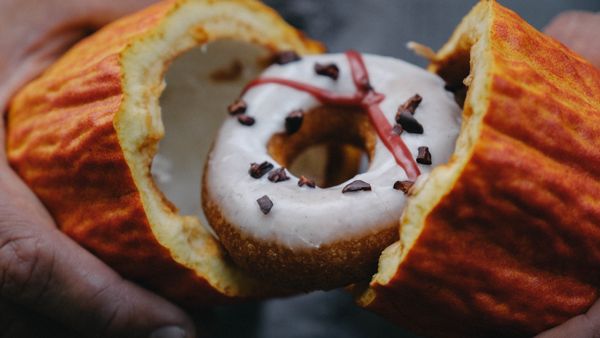 Holey Grail Donuts by null
