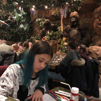 Rainforest Café - Maezy passing the time - Modern European Near Me - Marne-la-Vallee, 75 Rainforest Café - Maezy passing the time - Modern European Near Me - Marne-la-Vallee, 75