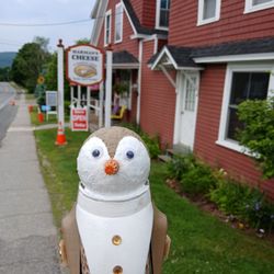 Harman's Cheese & Country Store - Penguin wants cheeses and soda