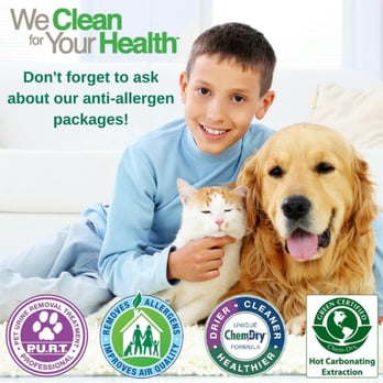 Johnson County Chem-Dry - Johnson County ChemDry 817-558-3113 - Carpet Cleaning Near Me - Cleburne, Texas Johnson County Chem-Dry - Johnson County ChemDry 817-558-3113 - Carpet Cleaning Near Me - Cleburne, Texas