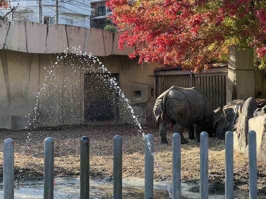Higashiyama Zoo and Botanical Gardens by null