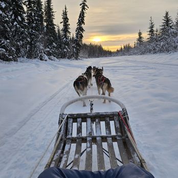 Trail Breaker Kennel - Sledding Near Me - Fairbanks, Alaska Trail Breaker Kennel - Sledding Near Me - Fairbanks, Alaska
