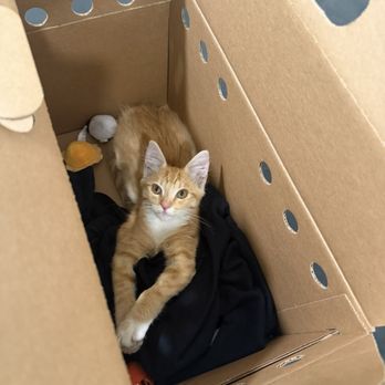 Pet Food Express - Pet Stores Near Me - Pleasanton, California