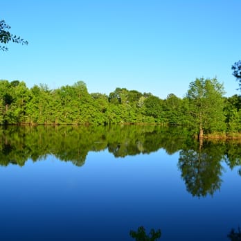 Bogue Chitto State Park - This view made the trip worth while. I could get a lot more philosophical about the view, but I wont. - Campgrounds Near Me - Franklinton, Louisiana Bogue Chitto State Park - This view made the trip worth while. I could get a lot more philosophical about the view, but I wont. - Campgrounds Near Me - Franklinton, Louisiana