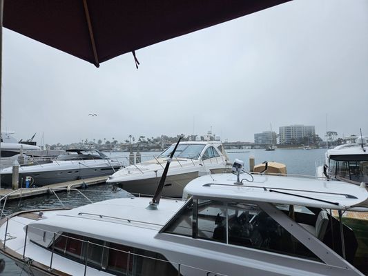 Rusty Pelican by null