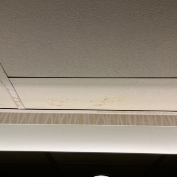 Marriott St. Louis Airport - Mold or some kind of water damage - Hotels Near Me - St. Louis, Missouri