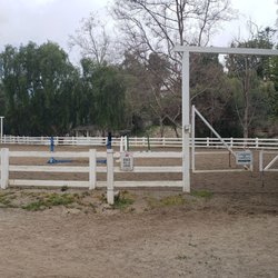 Dapplegray Park - Riding coral.