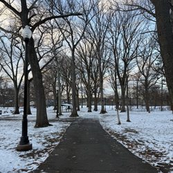 Glenfield Park