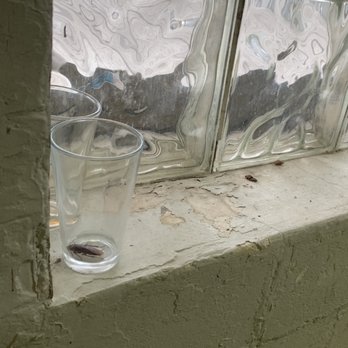 Southern Range Brewing Co. - Dead roach in pint glass - Wine Bars Near Me - Monroe, North Carolina